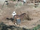 making adobe bricks