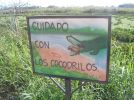 cocodrilos sign